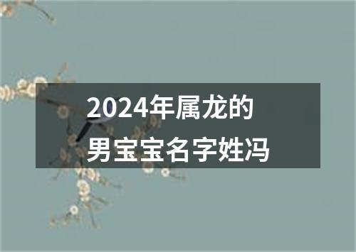 2024年属龙的男宝宝名字姓冯