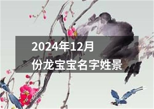 2024年12月份龙宝宝名字姓景