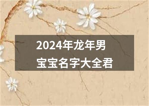 2024年龙年男宝宝名字大全君