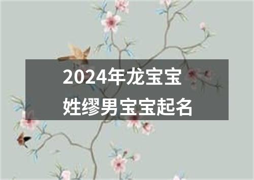 2024年龙宝宝姓缪男宝宝起名