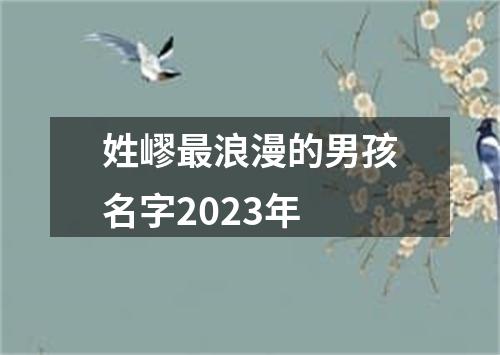 姓嵺最浪漫的男孩名字2023年