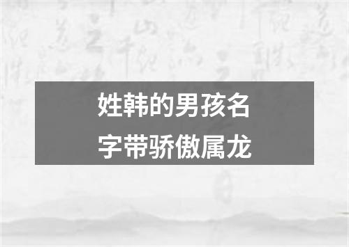 姓韩的男孩名字带骄傲属龙