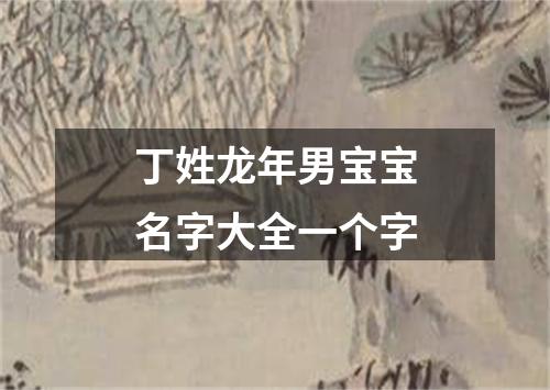 丁姓龙年男宝宝名字大全一个字