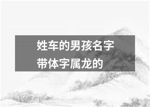 姓车的男孩名字带体字属龙的