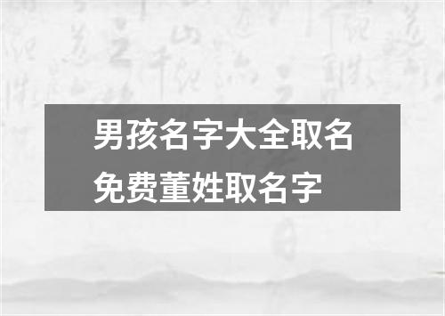 男孩名字大全取名免费董姓取名字