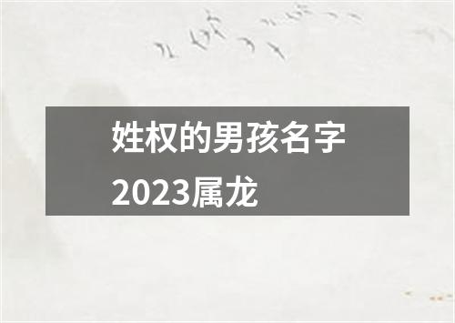 姓权的男孩名字2023属龙