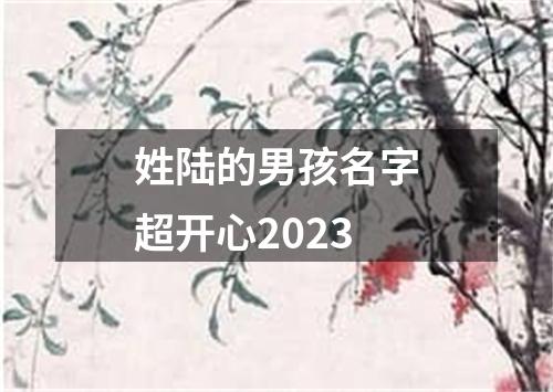 姓陆的男孩名字超开心2023