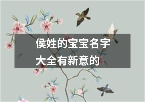 侯姓的宝宝名字大全有新意的