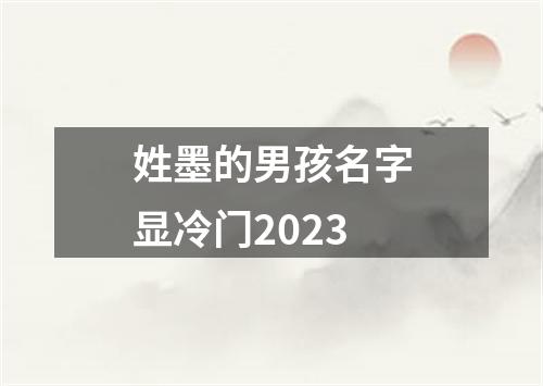 姓墨的男孩名字显冷门2023