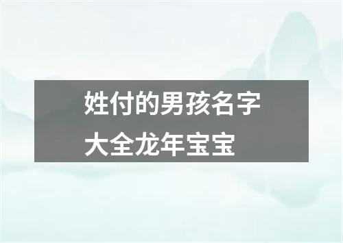 姓付的男孩名字大全龙年宝宝