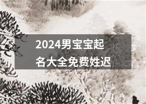 2024男宝宝起名大全免费姓迟