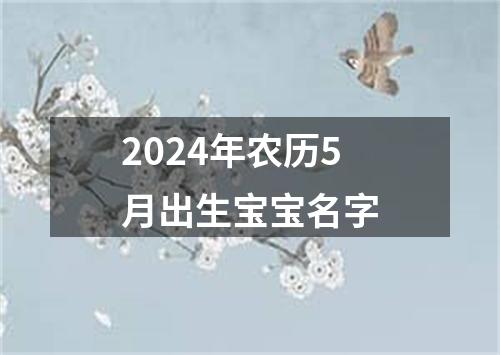 2024年农历5月出生宝宝名字