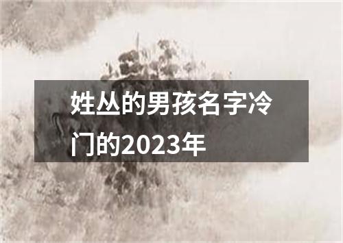 姓丛的男孩名字冷门的2023年