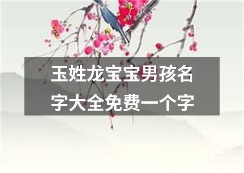 玉姓龙宝宝男孩名字大全免费一个字