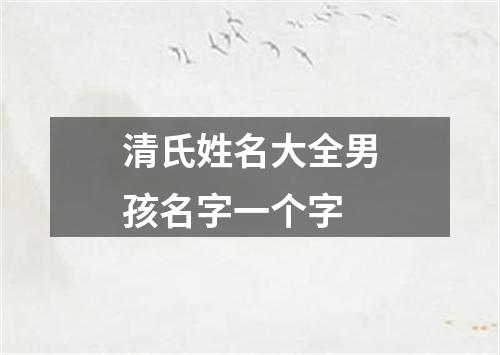 清氏姓名大全男孩名字一个字