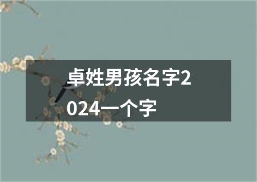 卓姓男孩名字2024一个字