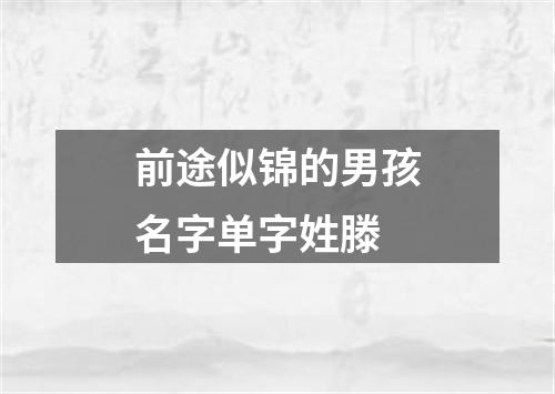 前途似锦的男孩名字单字姓滕