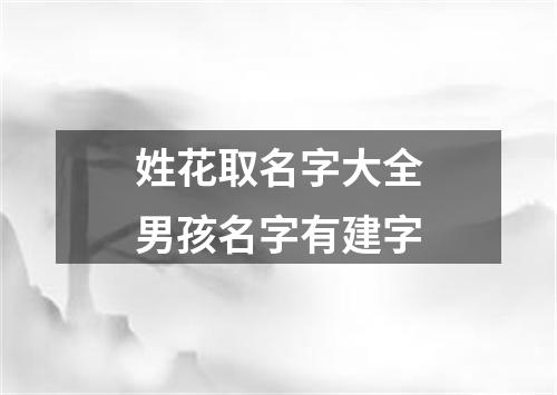 姓花取名字大全男孩名字有建字