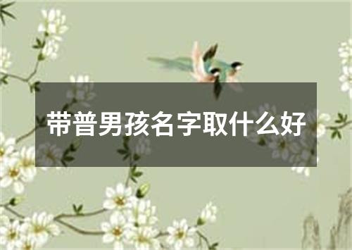 带普男孩名字取什么好