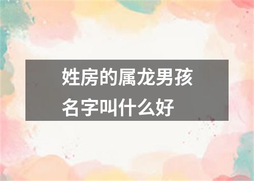 姓房的属龙男孩名字叫什么好