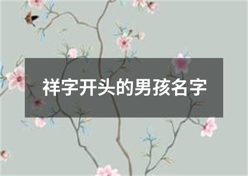 祥字开头的男孩名字