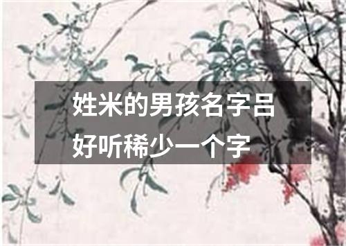 姓米的男孩名字吕好听稀少一个字