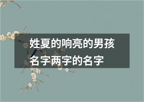 姓夏的响亮的男孩名字两字的名字