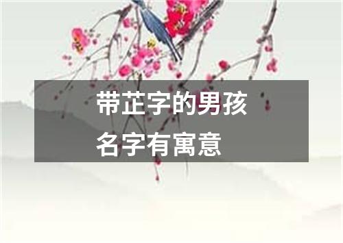 带芷字的男孩名字有寓意