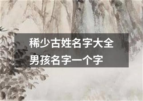 稀少古姓名字大全男孩名字一个字