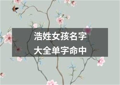 浩姓女孩名字大全单字命中