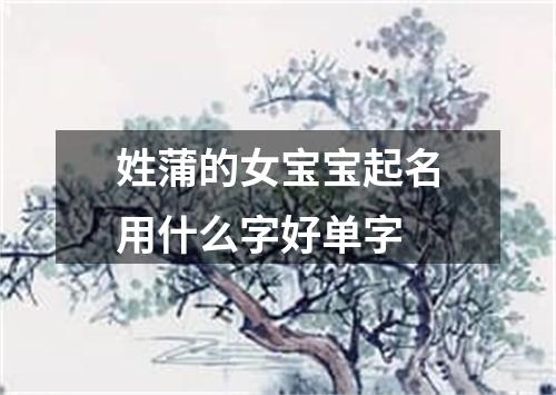 姓蒲的女宝宝起名用什么字好单字