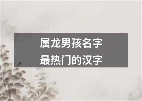 属龙男孩名字最热门的汉字