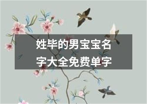 姓毕的男宝宝名字大全免费单字