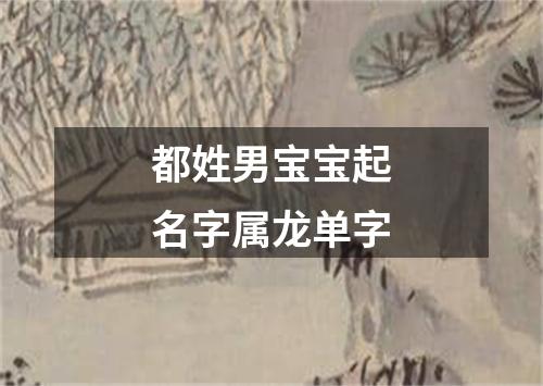 都姓男宝宝起名字属龙单字