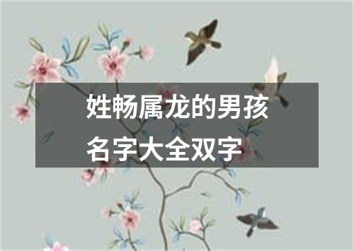 姓畅属龙的男孩名字大全双字