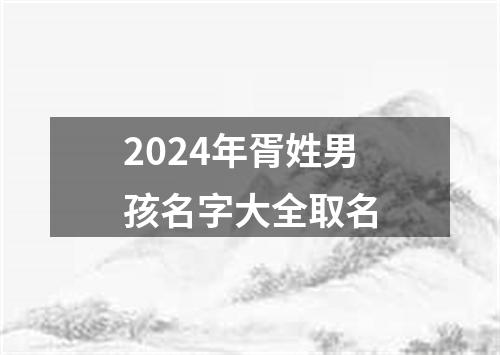 2024年胥姓男孩名字大全取名