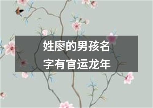 姓廖的男孩名字有官运龙年