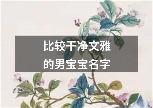 比较干净文雅的男宝宝名字