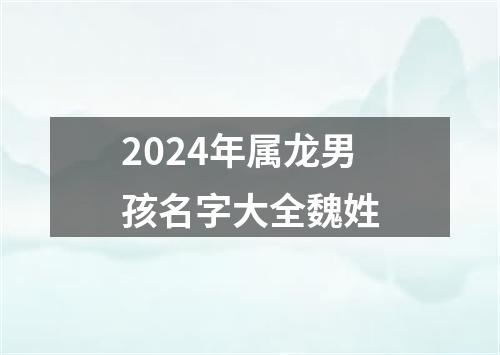 2024年属龙男孩名字大全魏姓