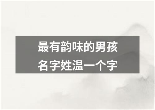 最有韵味的男孩名字姓温一个字