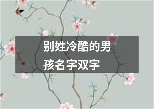 别姓冷酷的男孩名字双字