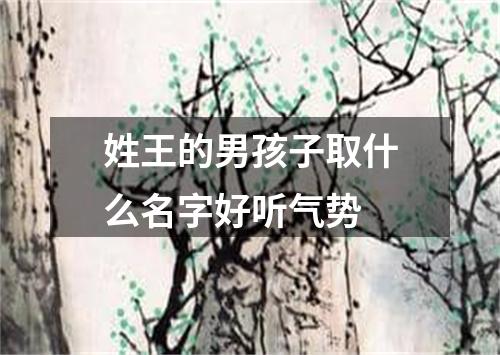 姓王的男孩子取什么名字好听气势