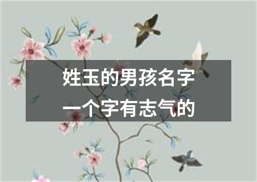 姓玉的男孩名字一个字有志气的