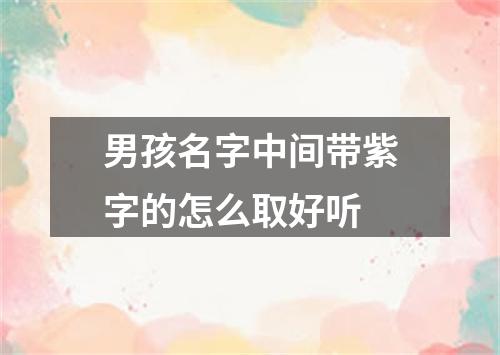 男孩名字中间带紫字的怎么取好听