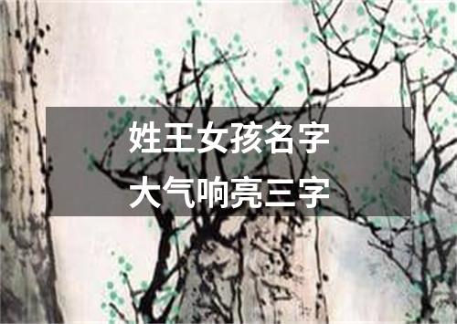 姓王女孩名字大气响亮三字