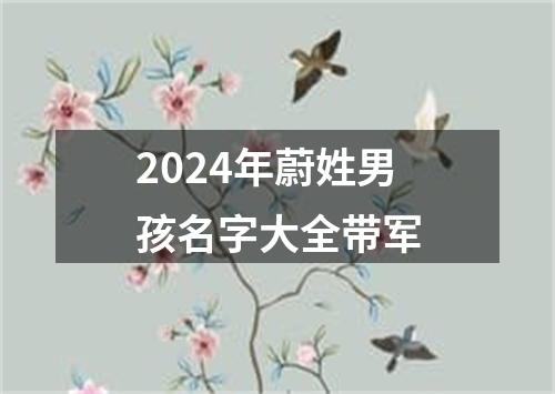 2024年蔚姓男孩名字大全带军