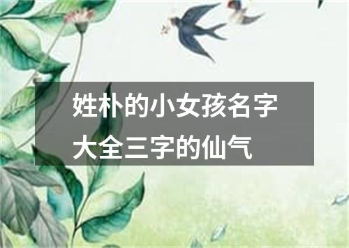 姓朴的小女孩名字大全三字的仙气