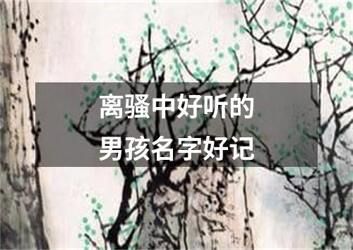 离骚中好听的男孩名字好记