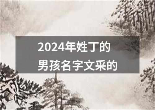 2024年姓丁的男孩名字文采的