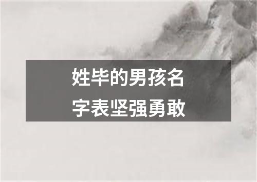 姓毕的男孩名字表坚强勇敢